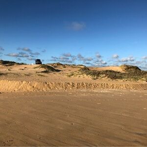 Meet your Posher, Rita